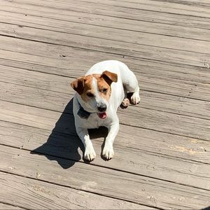 Meet your Posher, Lindsay